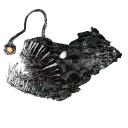 Cynosural Field Theory.