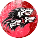 Caldari Armed Forces.