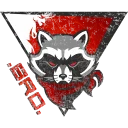 Burning Raccoons Outlaws