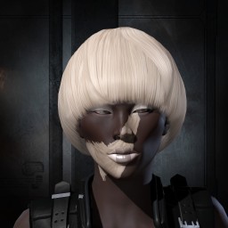 Kentucky Chicken-Vegetable