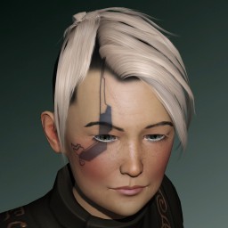 Scoudene Niere Audanie