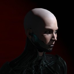 Italian Financial Police