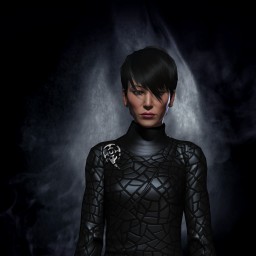 Videles Silenthunter