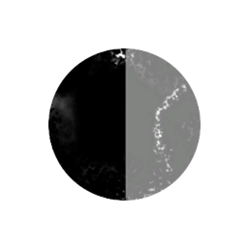 Random Scisors Players vs Dunkies 2005