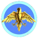 Swooping Hawk Fight With Paws