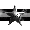 Caldari Homeland Security