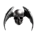 Black Hole Society inc