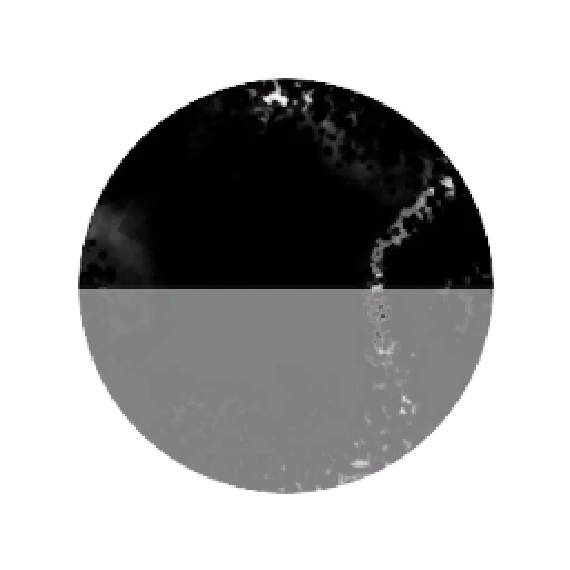 Broken Dreams Part II