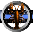 Sourcream and Onions