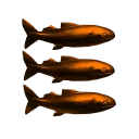 Fish and Mining Entrepreneurs