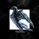 Real Social Dynamics