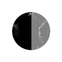 vericose veins and canes