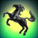 The Knight Pheonix CO-OP Corp