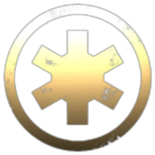 Amicitia Vincit Horas