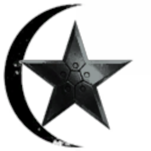 The New Lunar Republic