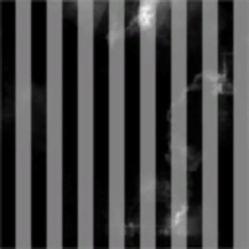 CashMoney Inc Scrap and Salvage.