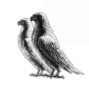 Carebears Union No Tax