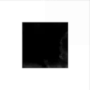 Constant State of WaR