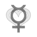 The Gang Bang Squadron