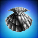 Sandy Clam Analysis and Tooling