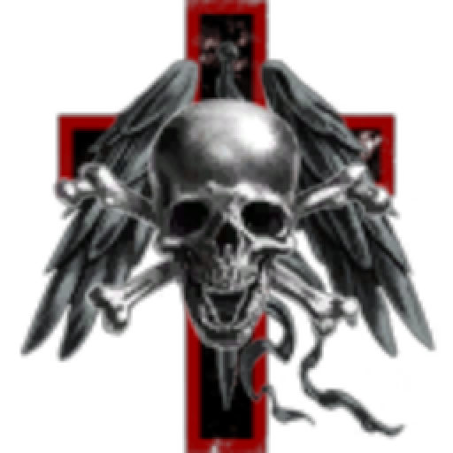 Collective Insurrection