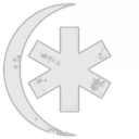 Kangaroos in Supershoes