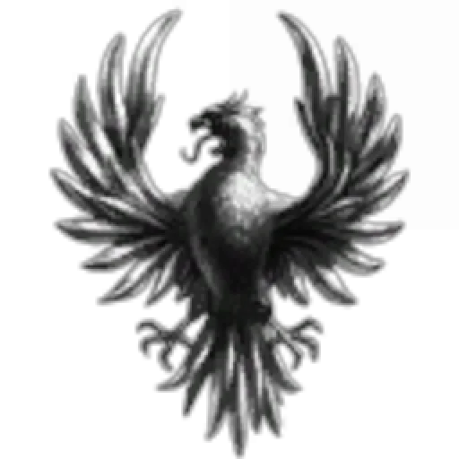 Space Investment Group