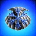 Silverback Baby Slingers