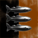 Dust514 Corporation 98220009