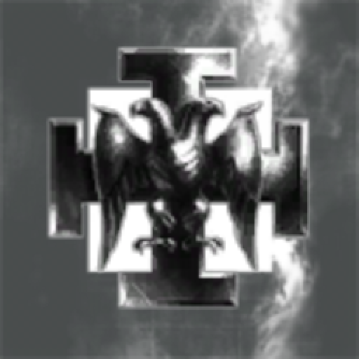 The Holding Corp For V.O.