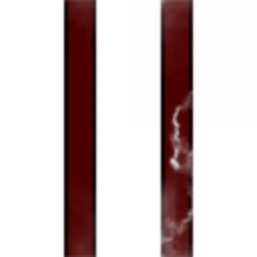 Unionists of the Dream