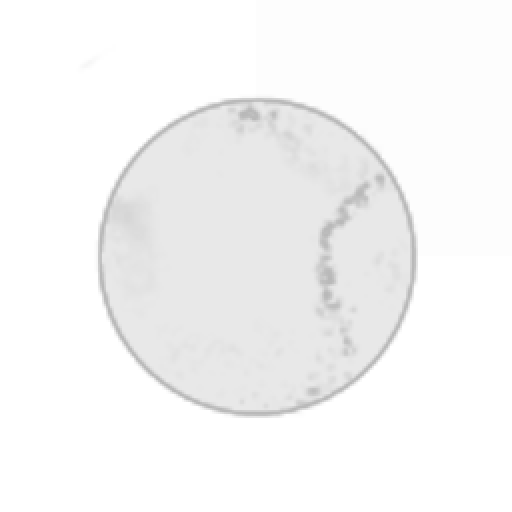 The Ever Changing Moon