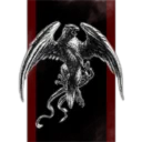 Duisburger Chaos Team