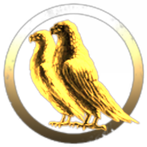 Black Raven Valkyries