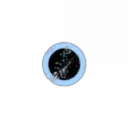 Fidelis ad magnum ursus