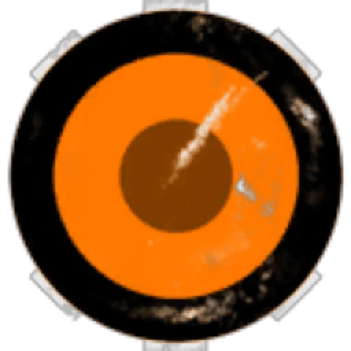 BerNarD ShoGuN Holdings