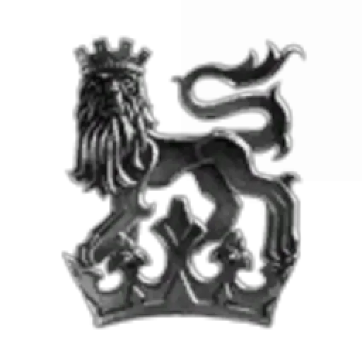 White Lion Corporation