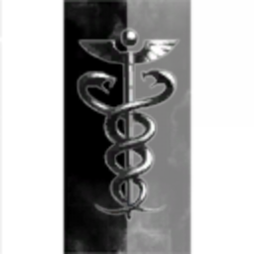 Bravos Trading Company