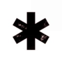 Deep-Fried Prawns with Lemon