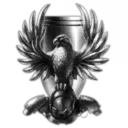 Federation Navy Snow Hawks