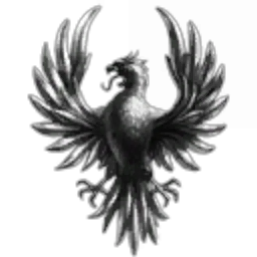 Yamagata Alpha Legion