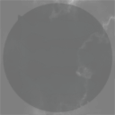 Fish Vending Machine