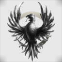 D.snf Alliances Corp