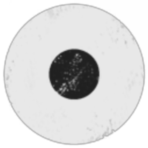 Society Finance Division