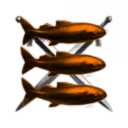 Scott Burkholder Corporation