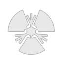 The People's Bank Of China