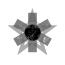 Limited Memory Management