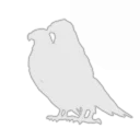 Jiujiang No.1 Middle School