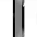 Dummy Tyrannos Corporation