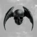 The Cult Of NimaNima